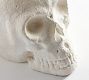 Skull Terracotta Party Bucket