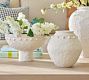 Dotted Earthenware Ceramic Collection