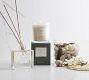 Signature Scent Collection - Paperwhite &amp; Neroli