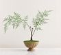Faux Composed Fern