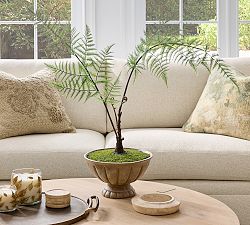 Faux Composed Fern