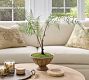 Faux Composed Fern