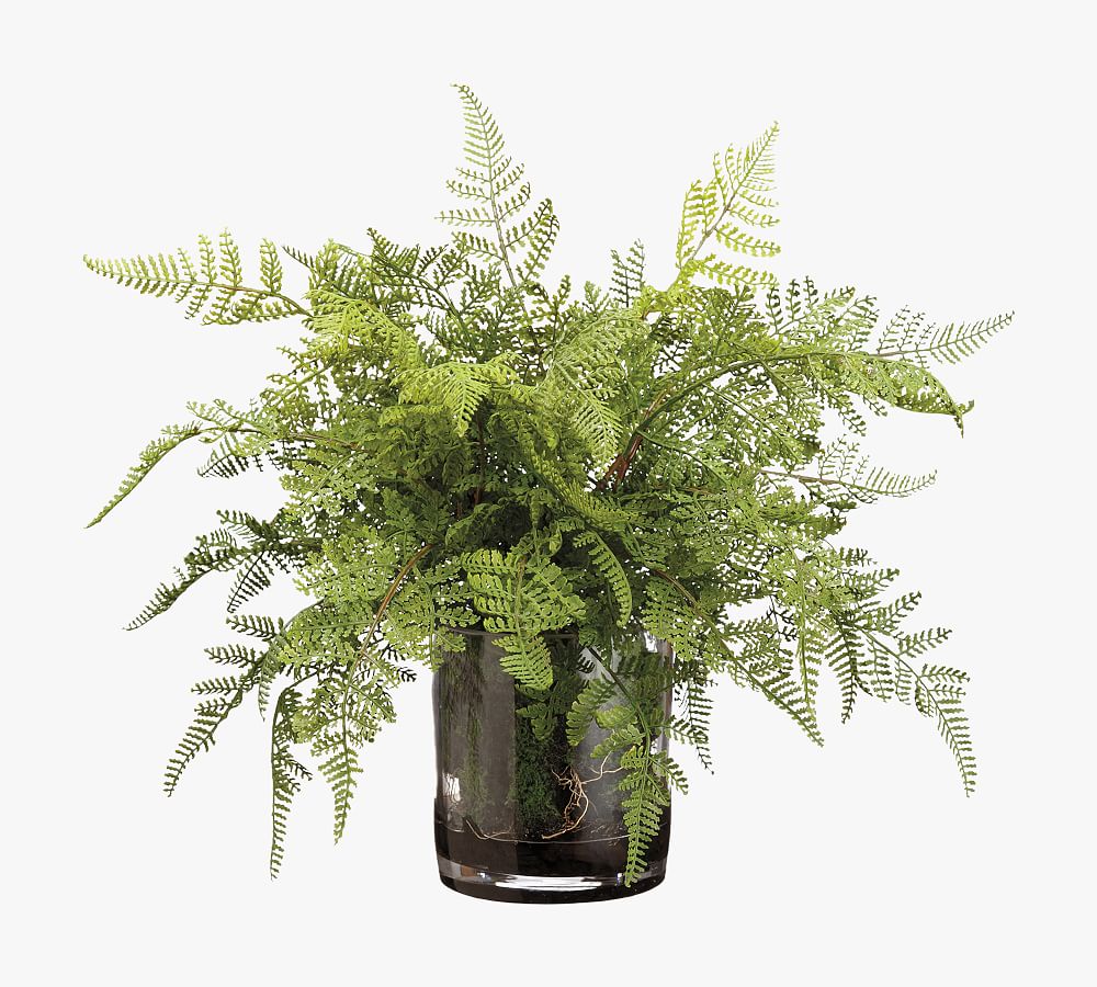 Faux Lace Fern In Glass Vase thumbnail 3