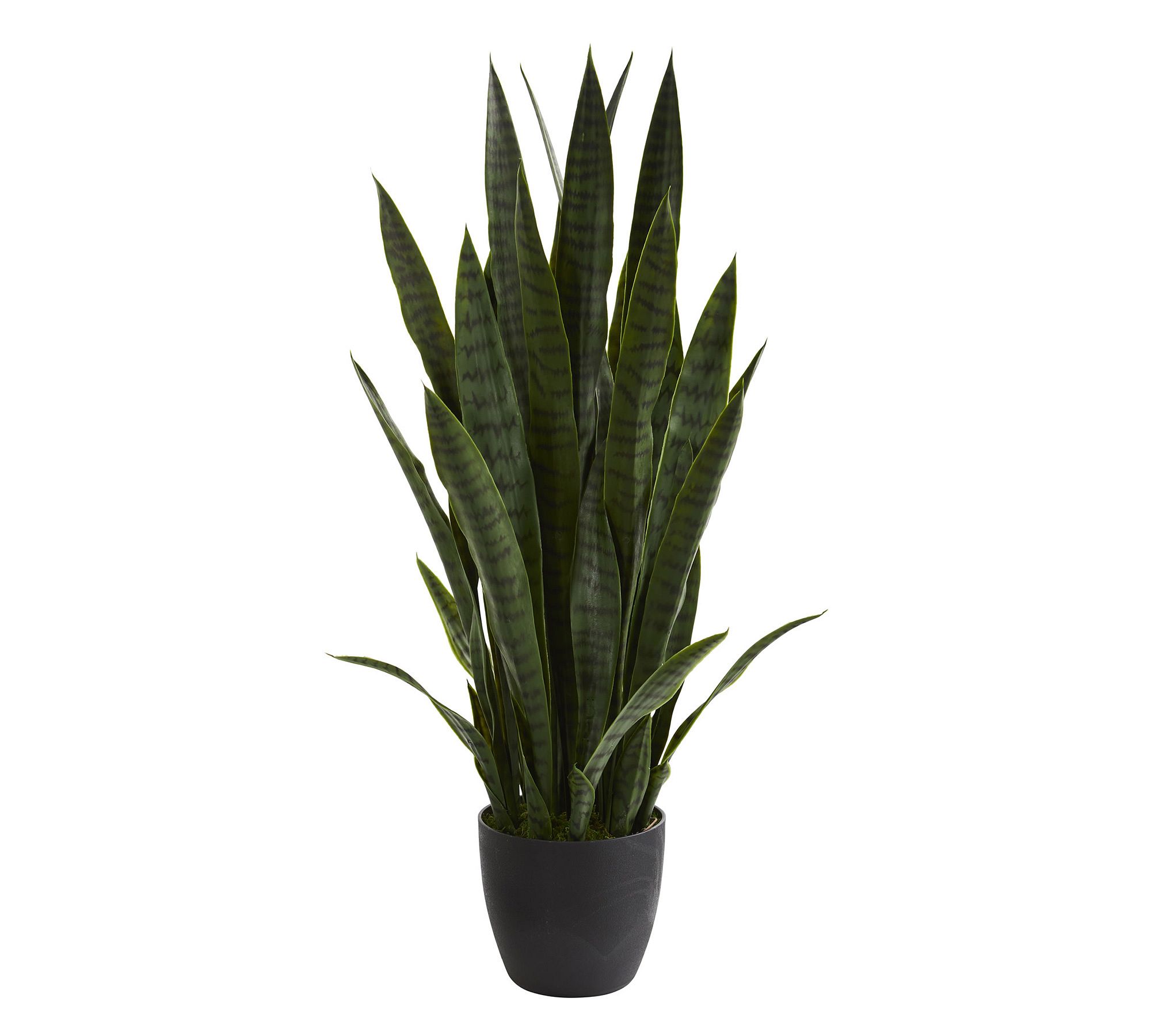 Sansevieria Faux Plant
