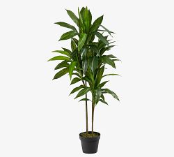 Faux Potted Dracaena Plant