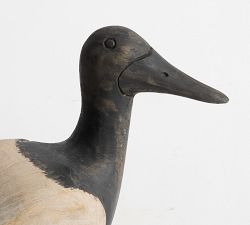 Mallard Duck Object
