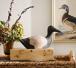 Mallard Duck Object