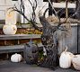 Lit Jack O'Lantern Willow Tree
