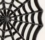 Spider Web Mirror