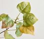 Faux Aspen Leaf Branch