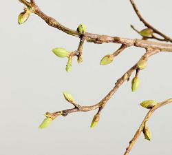 Faux Budding Branch 