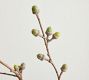Faux Coast Oak Branch