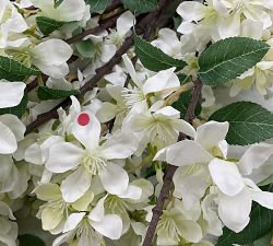 Open Box: Faux Apple Blossom Bundle (48")