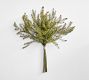 Faux Green Astible Bundle