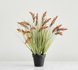 Faux Potted Cape Thatching Reed