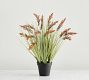 Faux Potted Cape Thatching Reed