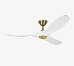 52" Rayanne Indoor/Outdoor Ceiling Fan