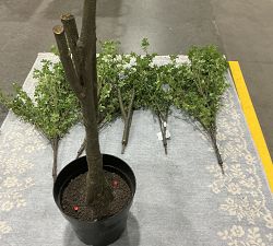 Open Box: Faux Potted Gypsophilia Tree (8')