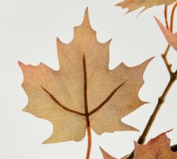 Faux Oversized Golden Maple Branch