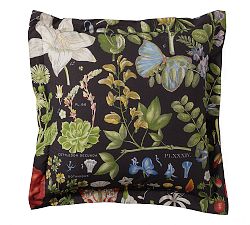 Open Box: Poppy Percale Sham, Euro, Set of 3 - Black