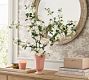 Faux Apple Blossom Branch