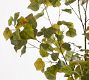 Faux Aspen Leaf Tree