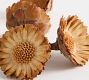 Dried Flower Vase Filler