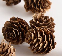 Pinecone Vase Filler