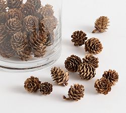 Pinecone Vase Filler