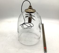 Open Box: Botanical Glass Cloche Pendant (11") - Antique Brass