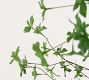 Faux Potted Gypsophilia Tree