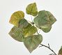Faux Turning Aspen Branch