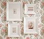 Thick Beveled Gallery Frames