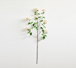Open Box: Snowball Branch (48") - Cream