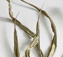 Natural Corn Stalks