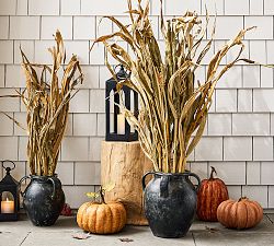 Natural Corn Stalks