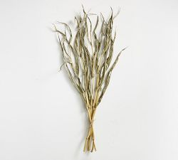 Natural Corn Stalks