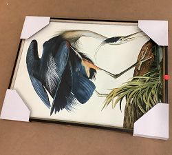 Open Box: Blue Heron Framed Print (25.5" x 34.5")