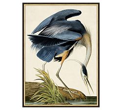 Open Box: Blue Heron Framed Print (25.5" x 34.5")