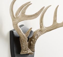 Antler Pendant Wall Art