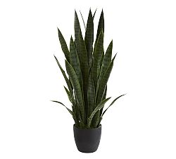 Open Box: Sansevieria Faux Plant (3')