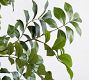 Faux Green Leaf Tree
