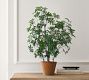 Faux Potted Citronella