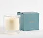 Sea Salt Driftwood Scent Collection