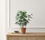 Faux Potted Citronella