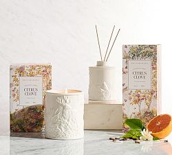 Fantasical Forest Scent Collection - Citrus Clove