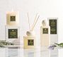 Dune Scent Collection - Cypress Vetiver