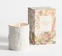 Fantasical Forest Scent Collection - Harvest Spice
