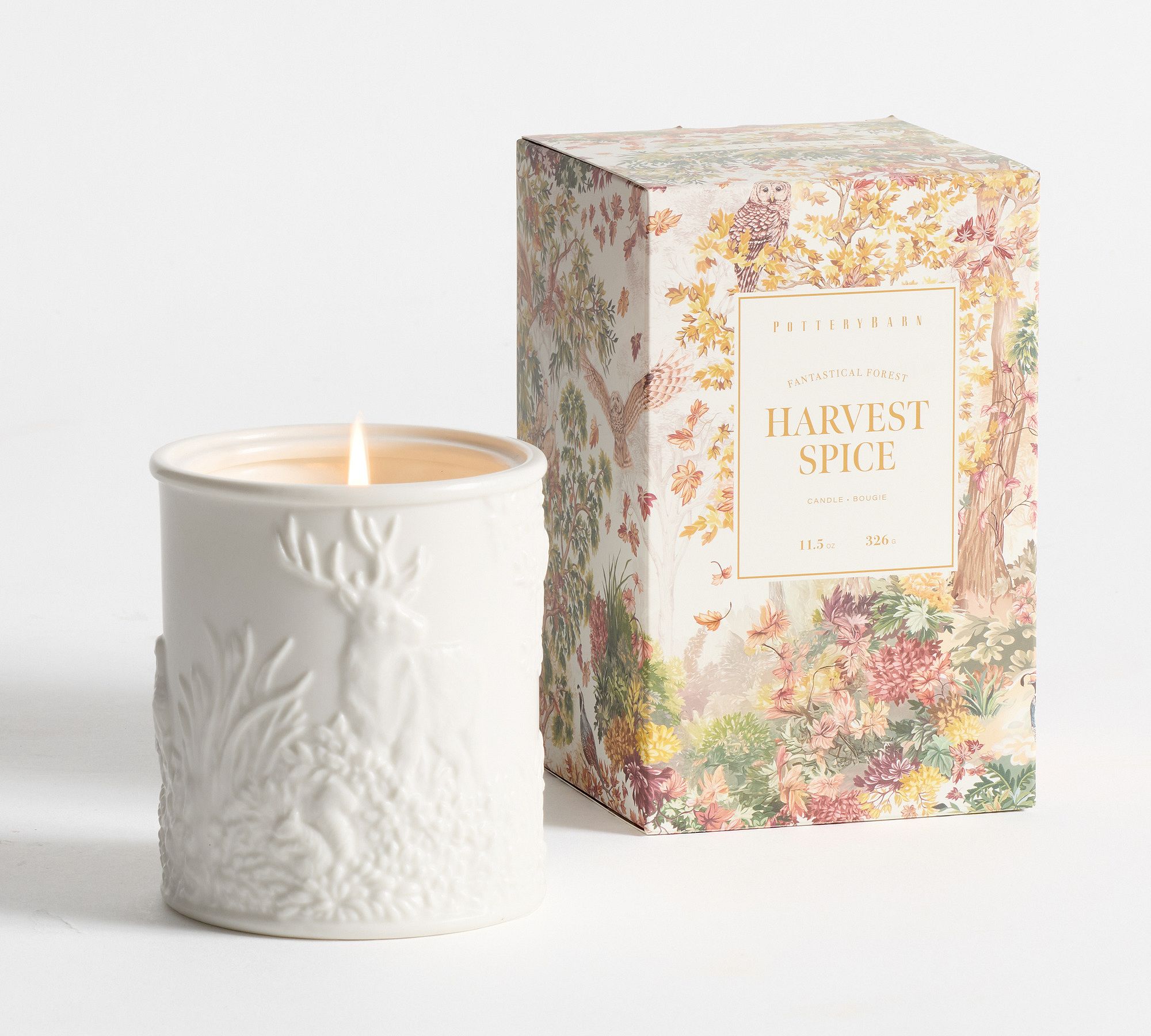 Fantastical Forest Scent Collection - Harvest Spice