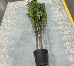 Open Box: Faux Green Leaf Tree (6'H)